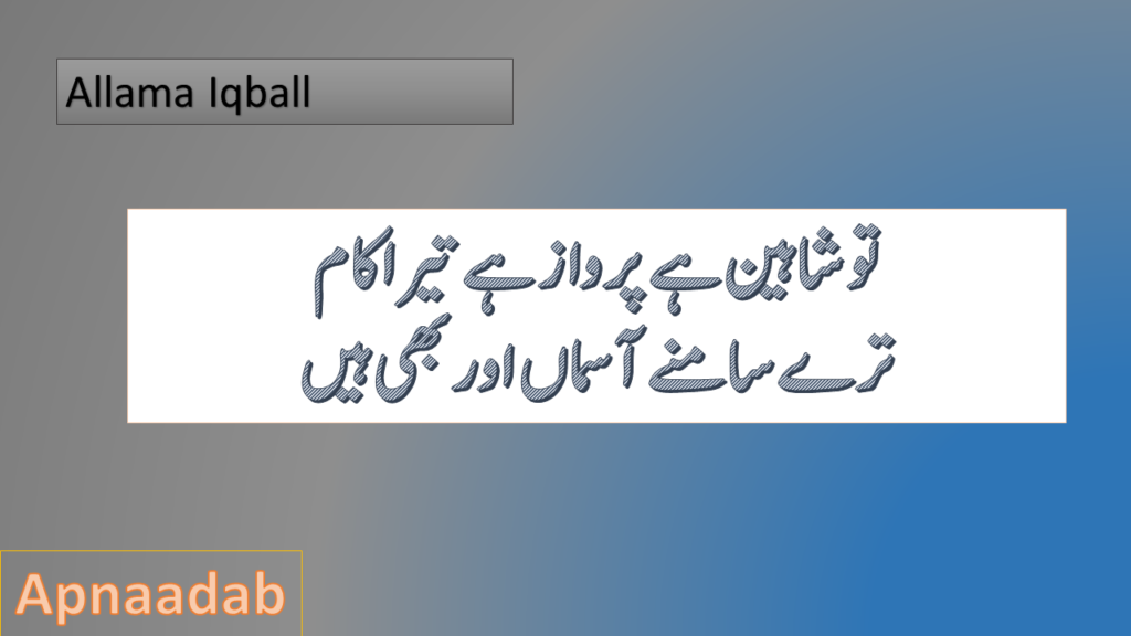 mirza ghalib and allama iqbal shayari in urdu