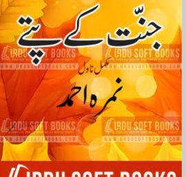 Best Urdu Novels Based on True Stories (2025 Updated List)